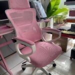 SƯỜN TRẮNG LƯỚI HỒNG