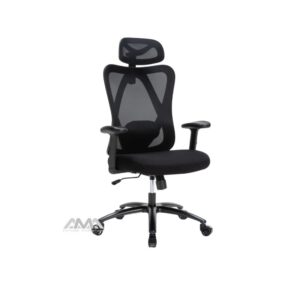 Ghế công thái học AMA-WEC501 Plus Black