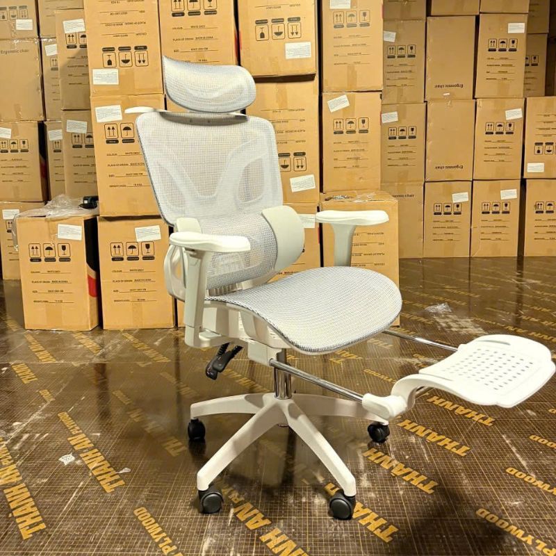 ghế ngồi đúng tư thế AMA-E18