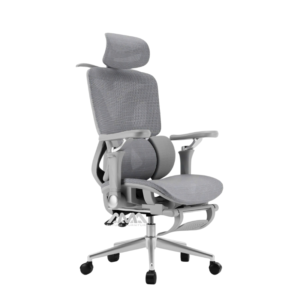 Ghế công thái học