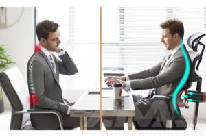 Ghế Công Thái Học